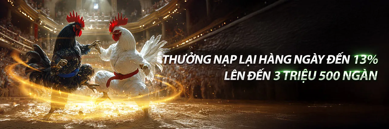 Hình ảnh sang trọng của chương trình VIP suncity888 bet